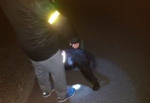 pieszy i pies maja na sobie elementy odblaskowe , zdjęcie wykonane w porze nocnej