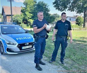 dwóch policjantów z bocianem stoją przy radiowozie policyjnym