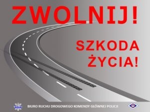 Zwolnij  - zwierzęta na drodze!