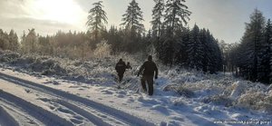 mundurowi idą po śniegu w kierunku lasu