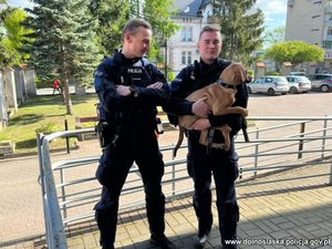 dwóch policjantów stoi obok siebie, jeden z nich trzyma na rekach pieska