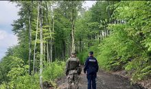 Kolejne wspólne patrole policjantów i strażników leśnych na terenie powiatu kłodzkiego