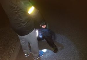 mężczyzna i piesek maja na sobie elementy odblaskowe, zdjęcie zrobione w porze nocnej