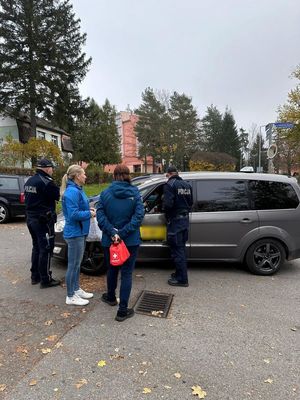 przy samochodzie policjanci oraz kobieta