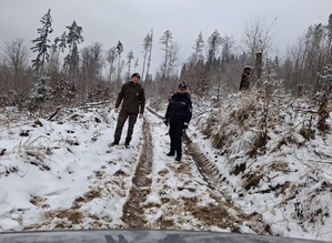 policjantka i strażnik leśny idą drogą zaśnieżoną w rejonie lasu