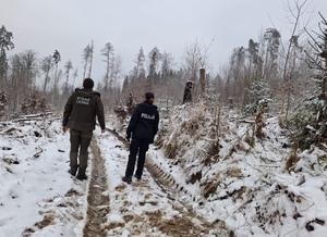 policjantka i strażnik leśny idą drogą zaśnieżoną w rejonie lasu-zdjęcie zrobione od tyłu