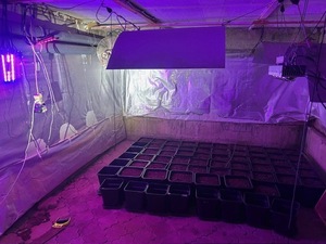 Policjanci zabezpieczyli blisko 6 kg narkotyków. 45-latek trzymał je w piwnicy