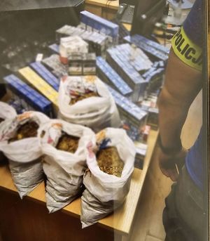 na zdjęciu zabezpieczony tytoń oraz paczki , widać fragment ręki mężczyzny i opaska z napisem policja