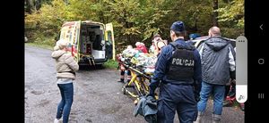 Zaginiony 49-latek odnaleziony po dwudniowych poszukiwaniach