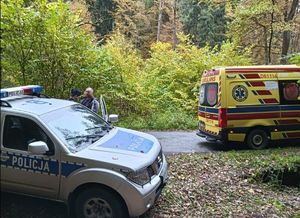 mężczyzna rozmawia z policjantem przy radiowozie , widać obok zaparkowany ambulans