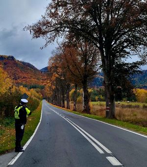 Jesienna aura-zachowaj ostrożność na drodze