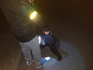 Bądź widoczny - zadbaj o swoje bezpieczeństwo po zmroku