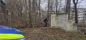 na zdjęciu fragment radiowozu i krzaki , w tle widać mundurowego