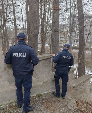 dwóch policjantów stoi obok siebie , widać krzaki i drzewa