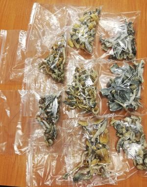 zabezpieczone woreczki z suszem