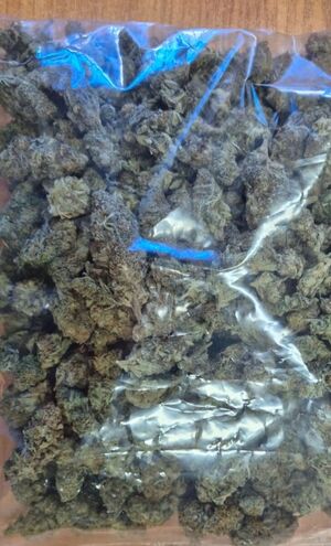 Policjanci powiatu kłodzkiego konsekwentnie realizują działania wymierzone w osoby zajmując się przestępczością narkotykową