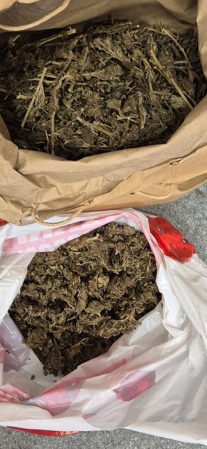 zabezpieczony susz roślinny przez policjantów - susz w workach