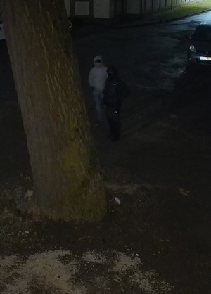 zdjęcie z monitoringu - osoba w pobliżu drzewa