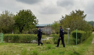 przez ogródki działkowe idzie patrol dwóch umundurowanych policjantów, w tle widać drzewa i altankę